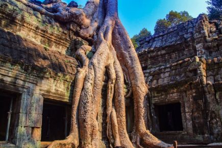 Angkor, Ta Prohm